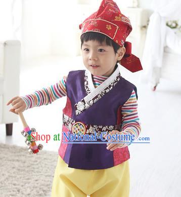 Traditional Korean Handmade Hanbok Embroidered Purple Costume, Asian Korean Apparel Hanbok Embroidery Clothing for Boys