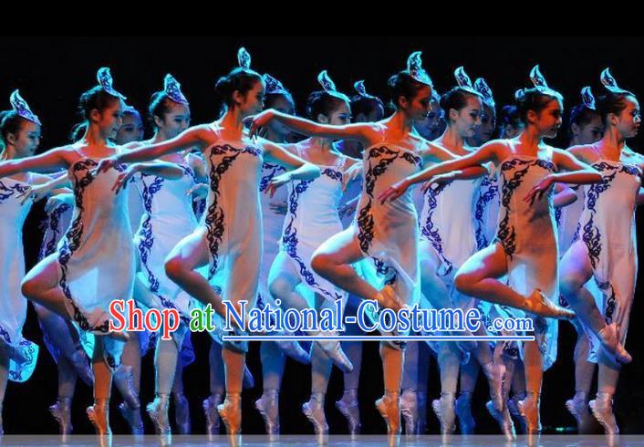 Traditional Chinese Classic Stage Performance Dance Costume, Chinese Ballet Dance Clothing for Women