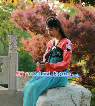 Traditional Chinese Ancient Tang Dynasty Female Costumes, China Hanfu Embroidered Blouse and Dress Complete Set Wearing for Women