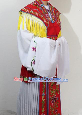 Traditional China Beijing Opera Costume and Hat Ancient Chinese Peking Opera Clothing Shoes