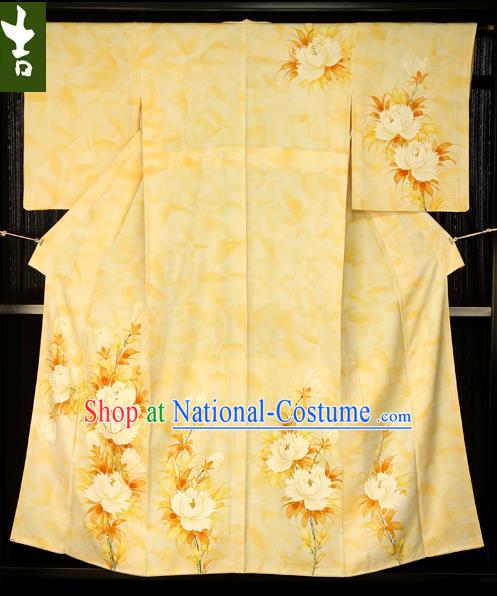 Traditional Asian Japan Clothing Japanese Fashion Apparel Kimono Costume