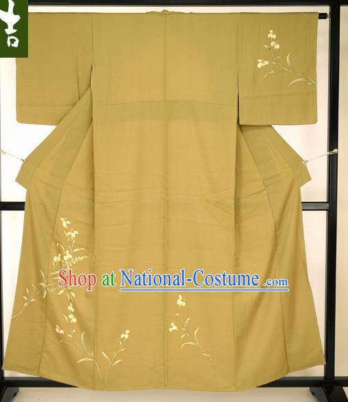 Traditional Asian Japan Clothing Japanese Fashion Apparel Kimono Costume