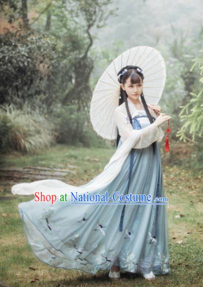 Ancient Chinese Traditional Tang Dynasty Princess Embroidered Costumes for Women