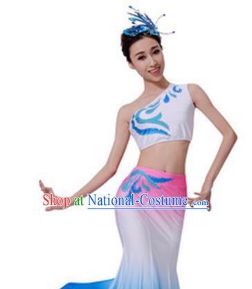 Traditional Chinese Yangge Fan Dance Folk Dance Ethnic Costume Classical Yangko Chorus Modern Dance Dress Halloween Clothing and Shoes