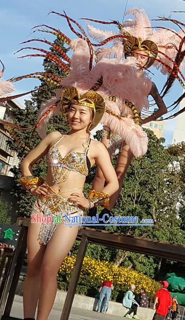 Brazilian Carnival Parade Catwalks Stage Show Samba Costumes and Feather Headwear for Women