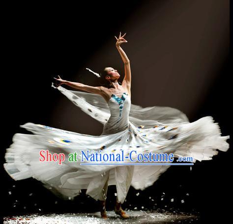 Chinese Traditional Dai Nationality Group Dance Costumes Classical Dance Stage Performance Dress for Women