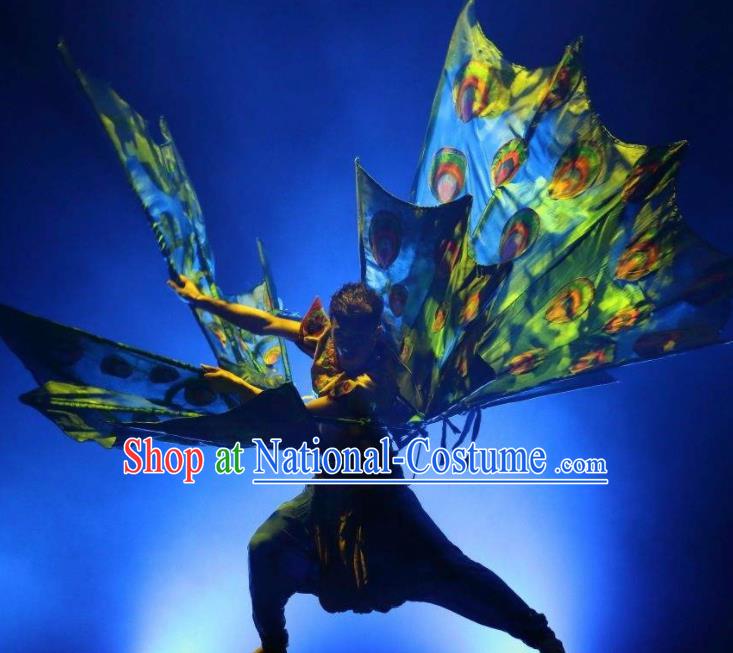 Chinese Dynamic Yunnan Ethnic Peacock Dance Stage Performance Costume for Men