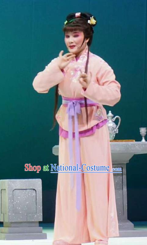 Xiang Luo Ji Chinese Shaoxing Opera Maidservant Pink Dress Stage Performance Dance Costume and Headpiece for Women