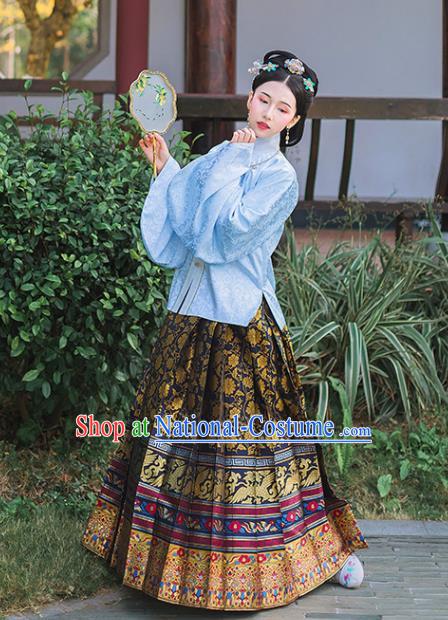 Chinese Ancient Ming Dynasty Princess Embroidered Historical Costume Blue Blouse and Black Horse Face Skirt Complete Set