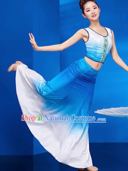 Chinese Traditional Ethnic Folk Dance Blue Dress Dai Nationality Peacock Dance Costume for Women