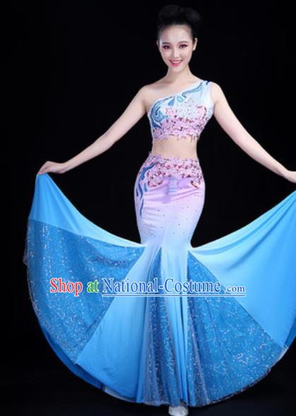 Chinese Traditional Ethnic Folk Dance Dress Dai Nationality Peacock Dance Costume for Women