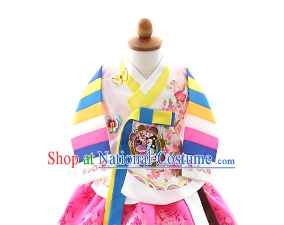 Asian Korea Girls Embroidered Blouse and Pink Dress Korean Kids Fashion Traditional Apparels Hanbok Birthday Costumes