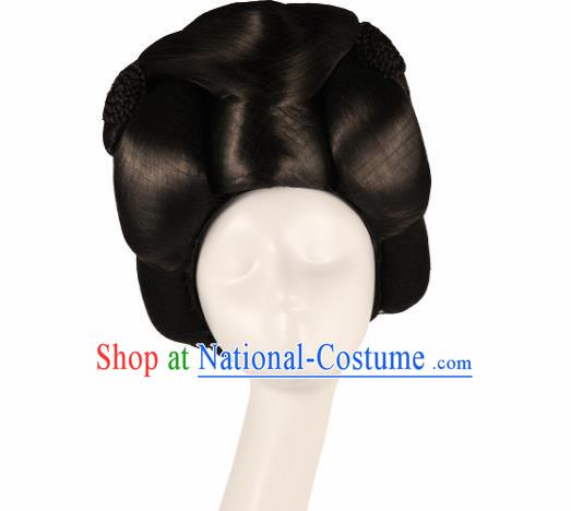 Traditional Chinese Tang Dynasty Wigs Ancient Fairy Hair Accessories for Women