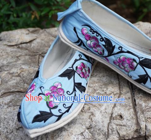 Traditional Chinese Embroidered Grape Blue Shoes National Wedding Shoes Hanfu Shoes for Women