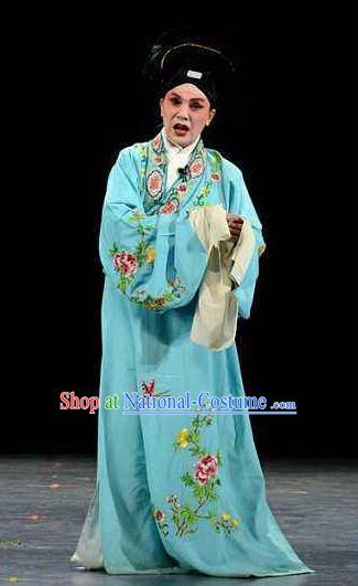 Chinese Beijing Opera Young Men Xu Xian Garment Henan Opera Legend of the White Snake Scholar Apparels Costumes and Hat