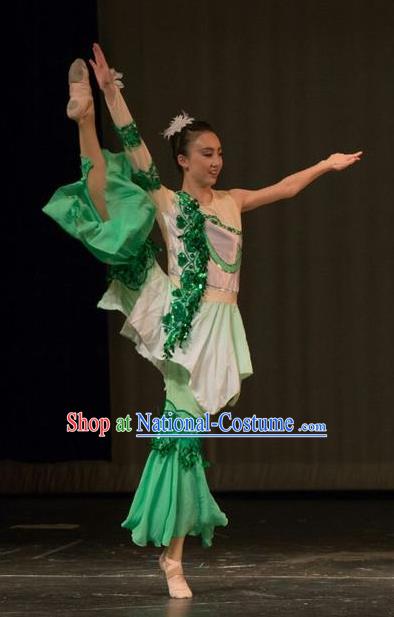 Chinese Traditional Folk Dance Liu Yue Mo Li Green Dress Classical Dance Stage Performance Costume for Women