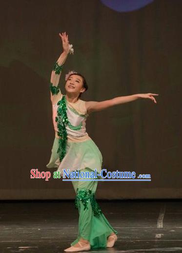 Chinese Traditional Folk Dance Liu Yue Mo Li Green Dress Classical Dance Stage Performance Costume for Women