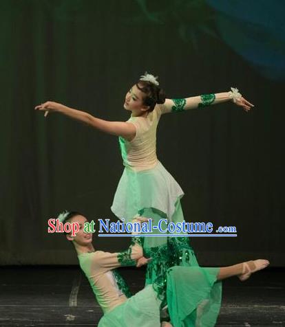 Chinese Traditional Folk Dance Liu Yue Mo Li Green Dress Classical Dance Stage Performance Costume for Women