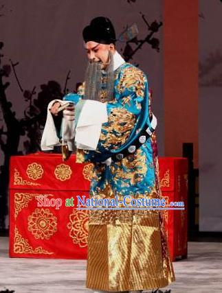 Chinese Beijing Opera Elderly Male Apparels Zhu Lian Zhai Peking Opera Garment Costumes Official Python Embroidered Robe and Hat