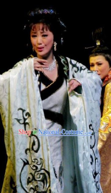 Chinese Kun Opera Actress White Hanfu Dress The Story of Pipa Peking Opera Garment Distress Maiden Zhang Wuniang Apparels Costumes and Headpieces