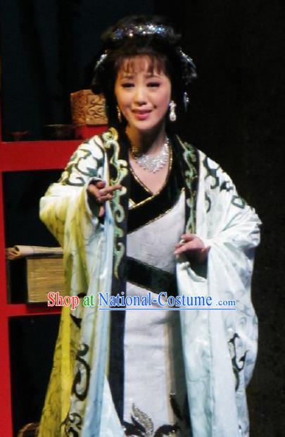 Chinese Kun Opera Actress White Hanfu Dress The Story of Pipa Peking Opera Garment Distress Maiden Zhang Wuniang Apparels Costumes and Headpieces