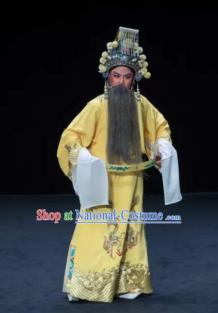 Chinese Classical Kun Opera Emperor Apparels Princess Baihua Peking Opera Elderly Male Costumes Ceremonial Robe and Helmet