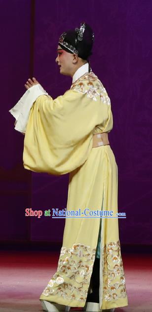 Chinese Classical Kun Opera The Purple Hairpin Young Male Apparels Peking Opera Scholar Costumes Li Yi Garment and Hat