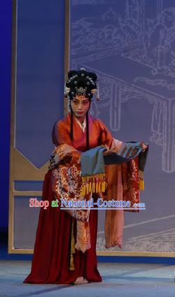 Chinese The Purple Hairpin Kun Opera Female Costumes Peking Opera Garment Red Dress Apparels and Hair Accessories