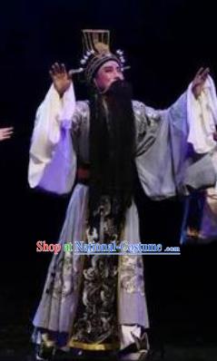 Li Li Fu Jian Chinese Huangmei Opera Laosheng Minister Costumes and Headwear An Hui Opera Apparels Official Clothing