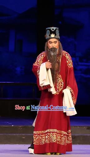 Chinese Huangmei Opera Elderly Man Female Consort Prince Garment Costumes and Headwear An Hui Opera Apparels Chancellor Liu Wenju Clothing