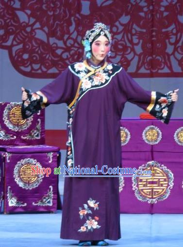 Chinese Ping Opera Ugly Female Garment Costumes and Headdress Jie Nv Qiao Pei Traditional Pingju Opera Rich Lady Wang Meirong Dress Apparels