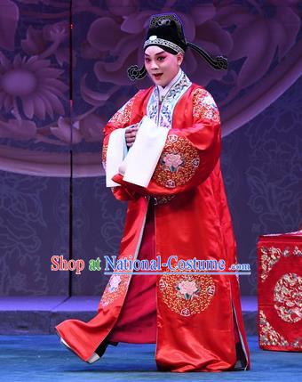 Love of Jade Hairpin Chinese Peking Opera Bridegroom Garment Costumes and Headwear Beijing Opera Scholar Zhao Qixian Apparels Young Male Clothing