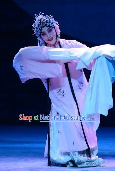 Chinese Beijing Opera Huadan Apparels Costumes and Headdress On A Wall and Horse Traditional Peking Opera Actress Li Qianjun Dress Hua Tan Garment