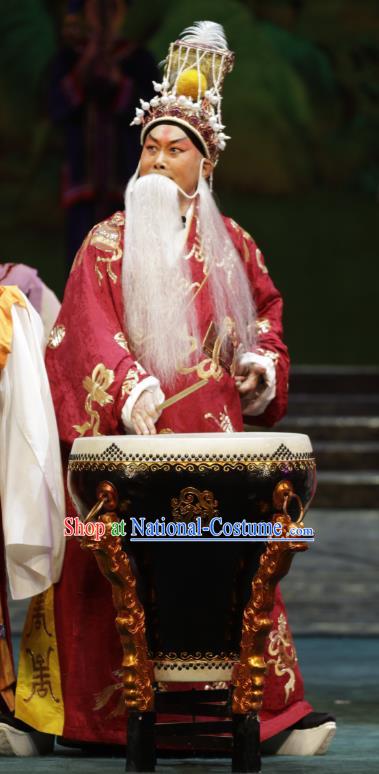 Zhao Tuo Chinese Peking Opera Na Yue King Garment Costumes and Headwear Beijing Opera Laosheng Apparels Lord Clothing