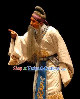 Wu Zetian Chinese Peking Opera Laosheng Garment Costumes and Headwear Beijing Opera Martial Male Apparels Scholar Luo Binwang Clothing