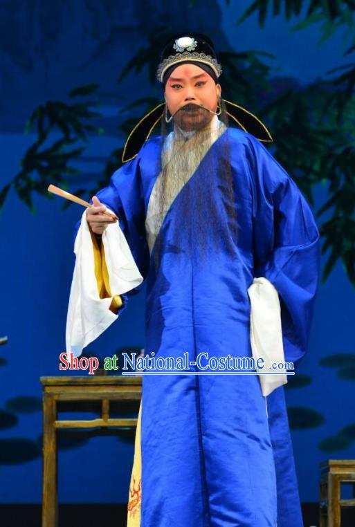 Hong Ling Yan Chinese Peking Opera Elderly Male Apparels Costumes and Headpieces Beijing Opera Laosheng Garment Clothing