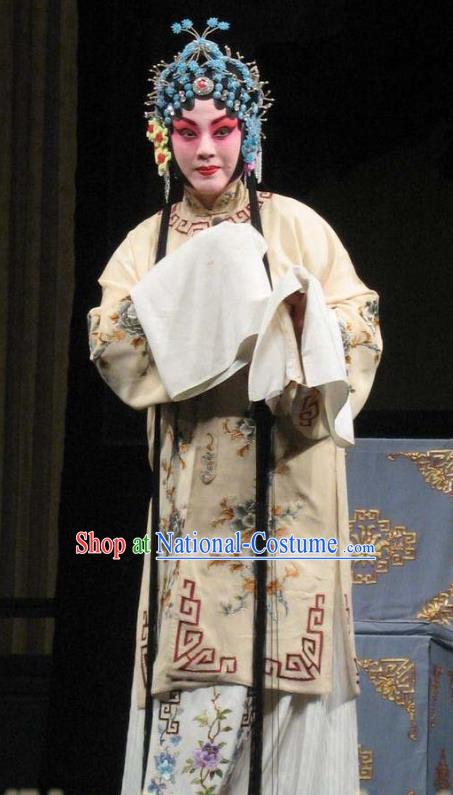 Chinese Beijing Opera Young Lady Garment Snow in June Costumes and Hair Accessories Traditional Peking Opera Actress Dress Dou E Apparels