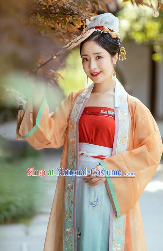 Chinese Traditional Song Dynasty Young Female Historical Costumes Ancient Imperial Concubine Embroidered Garment Hanfu Dress for Women