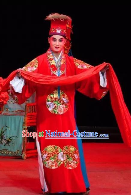 The Legend of White Snake Chinese Sichuan Opera Bridegroom Xu Xian Apparels Costumes and Headpieces Peking Opera Xiaosheng Garment Wedding Clothing