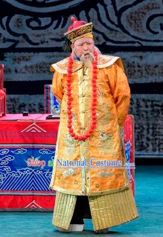 Scholar of Ba Shan Chinese Sichuan Opera Infante Apparels Costumes and Headpieces Peking Opera Lord Garment Elderly Male Clothing