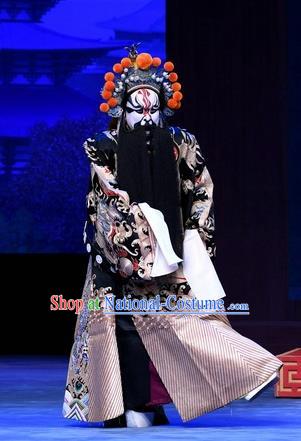 Chinese Peking Opera General Luo Cheng Garment Costumes and Headwear Beijing Opera Elderly Male Apparels Clothing Python Embroidered Robe