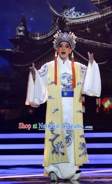 Zhen Guan Flourishing Age Chinese Peking Opera Emperor Li Shimin Garment Costumes and Headwear Beijing Opera Young Male Clothing Xiaosheng Apparels