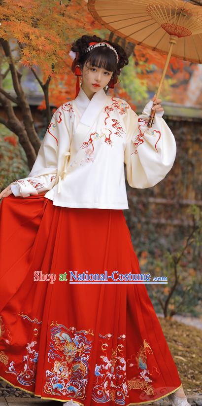 Chinese Ancient Nobility Lady Historical Costumes Ming Dynasty Garment Traditional Embroidered Hanfu Dress