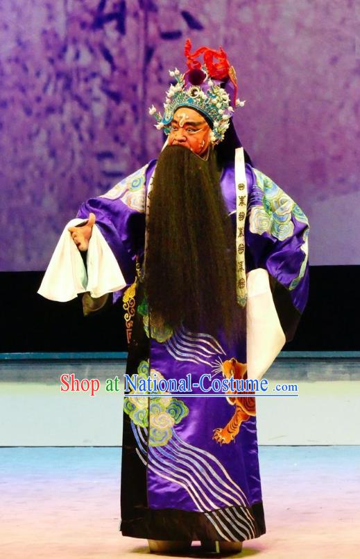 Hua Jian Ji Chinese Guangdong Opera General Apparels Costumes and Headpieces Traditional Cantonese Opera Jing Garment Elderly Male Clothing