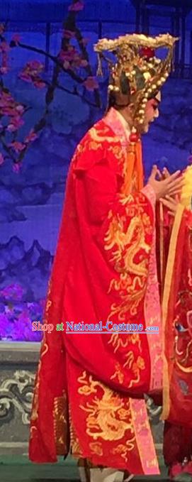 Story of the Violet Hairpin Chinese Guangdong Opera Lord Apparels Costumes and Headpieces Traditional Cantonese Opera Li Yi Garment Xiaosheng Clothing