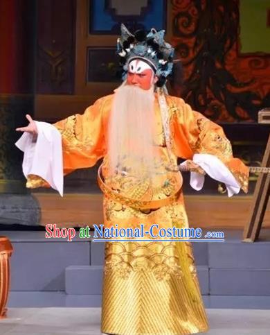 Story of the Violet Hairpin Chinese Guangdong Opera Official Apparels Costumes and Headpieces Traditional Cantonese Opera Jing Garment Elderly Male Clothing