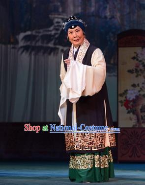 Chinese Hebei Clapper Opera Dame Garment Costumes and Headdress Liu Lanzhi Traditional Bangzi Opera Laodan Dress Elderly Female Apparels