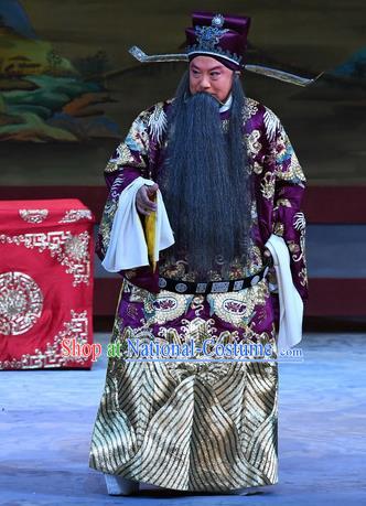 Xue Gang Fan Tang Chinese Bangzi Opera Laosheng Apparels Costumes and Headpieces Traditional Hebei Clapper Opera Official Garment Elderly Male Xu Ce Clothing