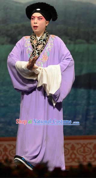 Madam White Snake Chinese Bangzi Opera Young Male Apparels Costumes and Headpieces Traditional Hebei Clapper Opera Xiaosheng Garment Scholar Xu Xian Clothing