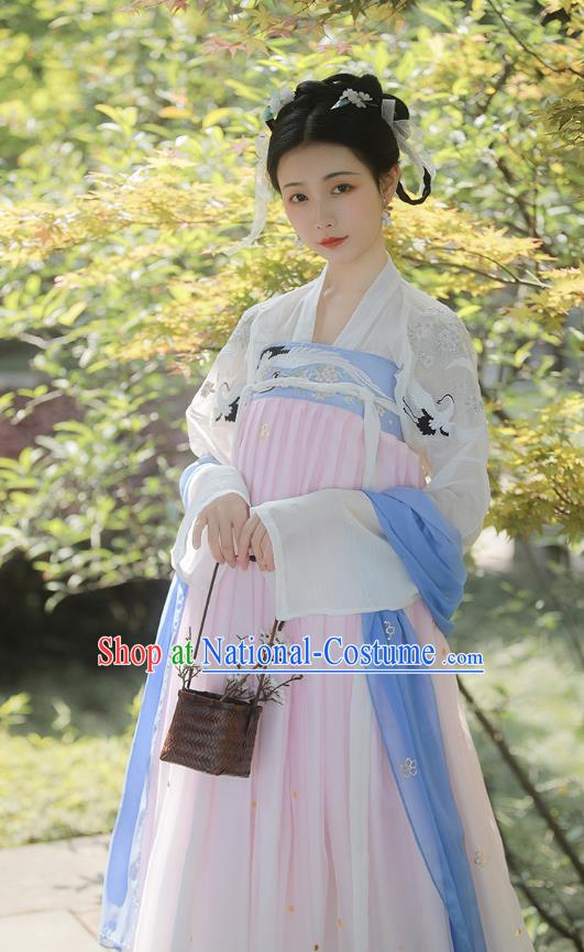 Chinese Tang Dynasty Noble Consort Costumes Traditional Ancient Goddess Hanfu Garment Blue Cloak Blouse and Dress Full Set